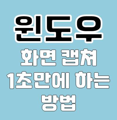 윈도우나 인터넷 사용시 화면 캡쳐 1초만에 하는 방법